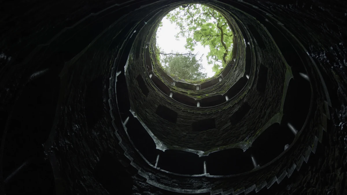 Poço Iniciático da Quinta da Regaleira visto do fundo, com a claraboia de vegetação no topo