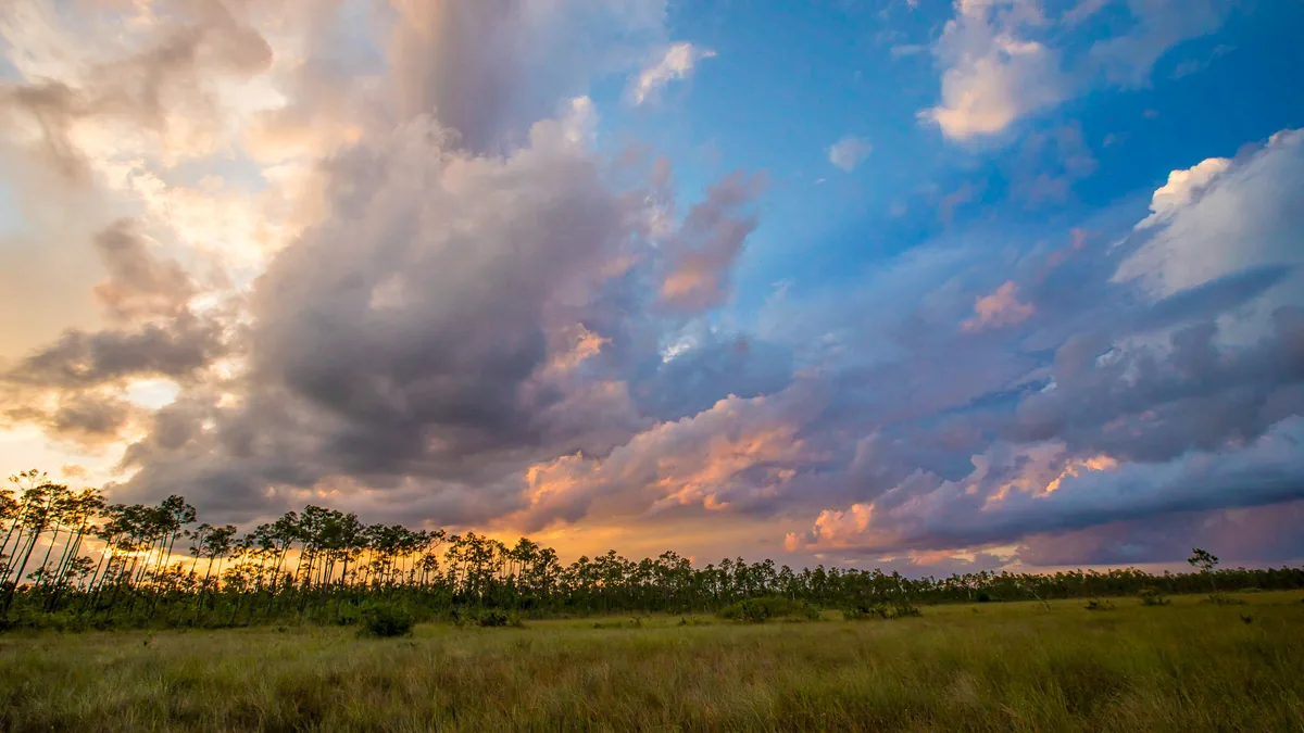 A planície de sawgrass do Everglades ao pôr do sol, com nuvens altas e a vegetação baixa estendida até o horizonte