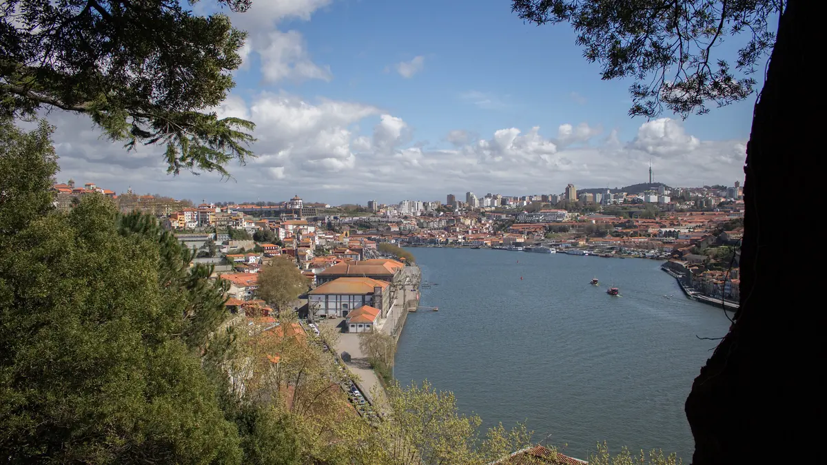 Vista do Douro e dos telhados do Porto a partir de um miradouro dos Jardins do Palácio de Cristal