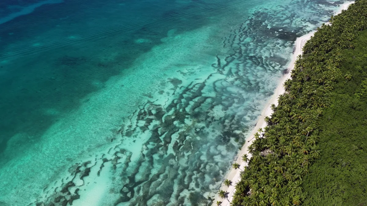 Praia da Isla Saona vista do alto, com água rasa turquesa e a linha de coqueiros acompanhando a costa